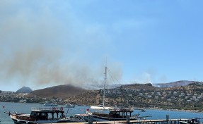 Bodrum'da ot yangını