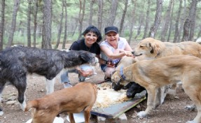 Buca'da önemli iş birliği: Kalan yemekler patili dostlara gidiyor