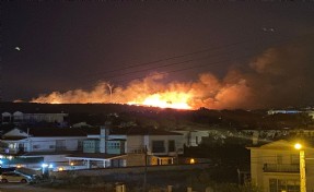 Çeşme'de makilik alanda yangın