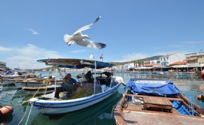 Cittaslow Birliği'nden Foça'ya büyük ödül