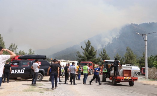 Denizli'de orman yangını