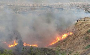 Denizli'deki orman yangını ile ilgili 3 kişiye gözaltı