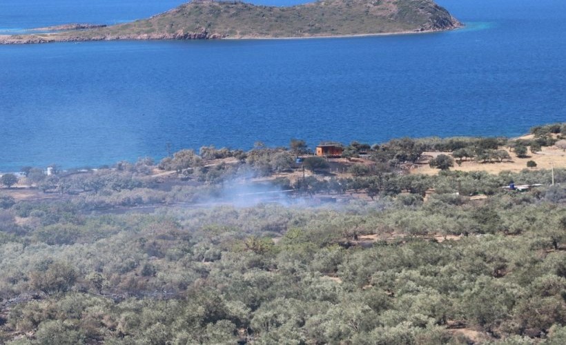 Dikili'de otluk alanda yangın; ev ve balık çiftçiliği zarar gördü