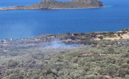 Dikili'de otluk alanda yangın; ev ve balık çiftçiliği zarar gördü