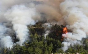 İzmir'de artan orman yangınlarına karşı dikkat! AFAD'dan uyarı mesajı