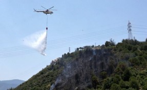 İzmir'de orman yangını:1 kişi gözaltına alındı