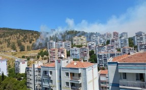 İzmir'in iki ilçesinde orman yangını