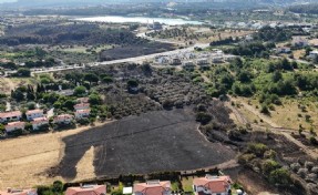 İzmir'deki yangın 4 saatte kontrol altına alındı, 15 hektar zeytinlik zarar gördü