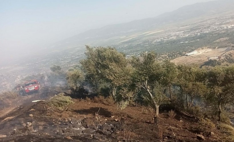 Kaynak yaparken zeytinliği yakan 2 şüpheli serbest kaldı