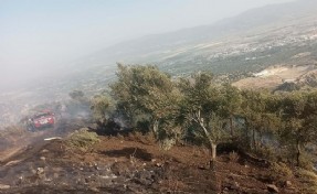 Kaynak yaparken zeytinliği yakan 2 şüpheli serbest kaldı