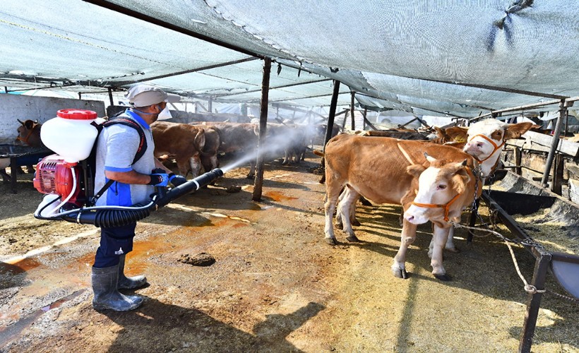 Büyükşehir'den hummalı çalışma: Kurban satış yerleri ilaçlanıyor