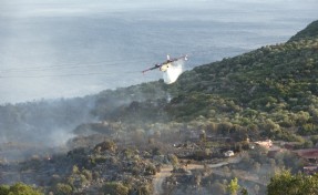 Manisa'da orman yangını