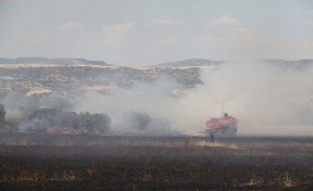 Manisa'da üç farklı noktada çıkan yangınlar kontrol altına alındı