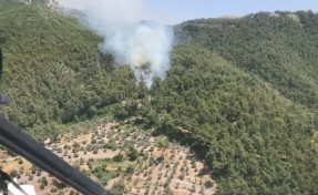 Muğla'da orman yangını kontrol altına alındı