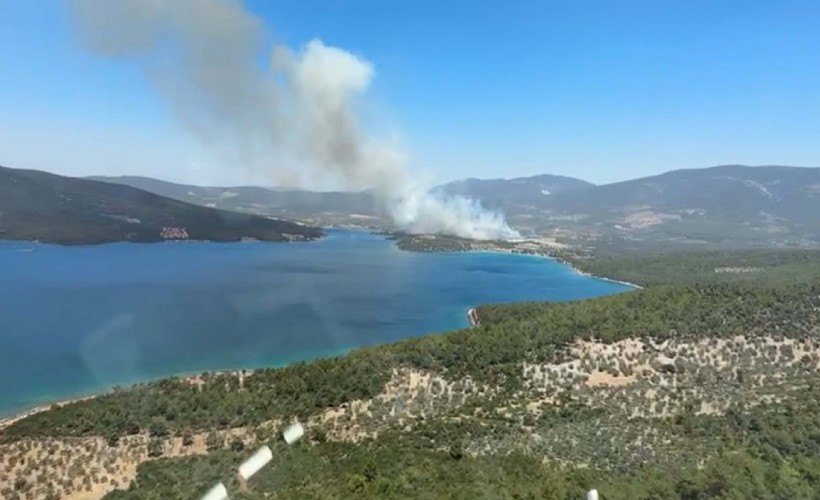 Muğla Milas'ta orman yangını