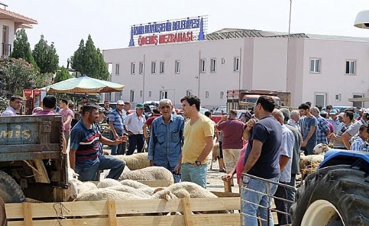 Ödemiş Kurban Bayramına hazırlanıyor