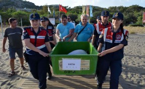 Tedavisi tamamlanan 2 caretta caretta, denizle buluşturuldu