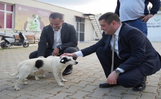 Torbalı’da patilerin festivali gerçekleşecek