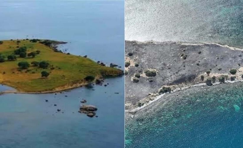 Yangında zarar gören Çiçek Adası'ndaki hayvanlara yiyecek ve su bırakıldı