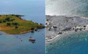 Yangında zarar gören Çiçek Adası'ndaki hayvanlara yiyecek ve su bırakıldı