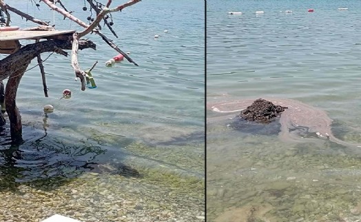 'Dünyaca ünlü koya sintine atığı boşaltıldı' iddiası