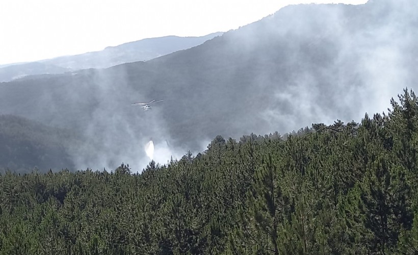 Afyon'da orman yangını