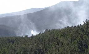 Afyon'da orman yangını