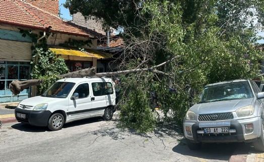 Ağaç 2 aracın üzerine devrildi