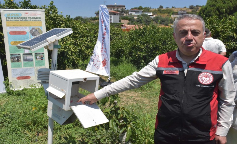 Akdeniz meyve sineğiyle mücadele