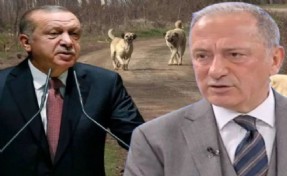 Altaylı: AK Parti’nin hedefi köpekler değil, belediyelere bir cephe daha açmak