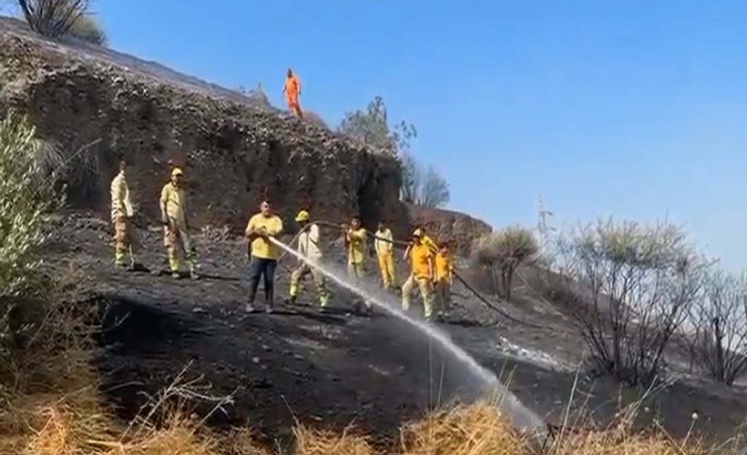 Aydın'da makilik yangını kontrol altında