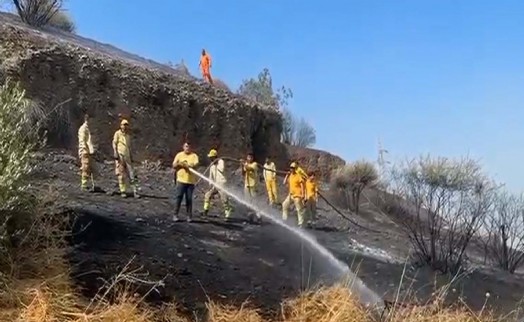 Aydın'da makilik yangını kontrol altında