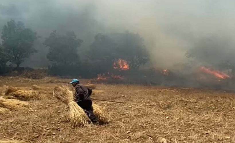 Balıkesir'de bir orman yangını daha!