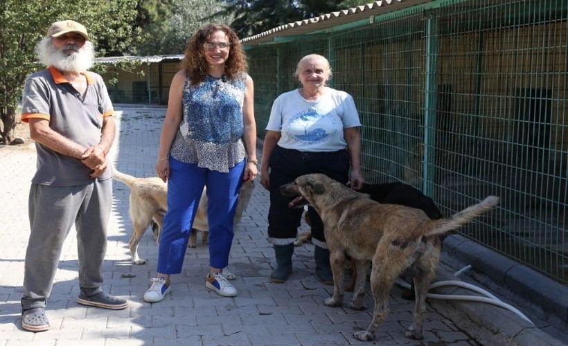 Başkan Ünsal'dan can dostlara ziyaret: 'Yaşam hakkı kutsaldır'