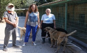 Başkan Ünsal'dan can dostlara ziyaret: 'Yaşam hakkı kutsaldır'