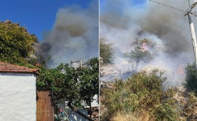 Bodrum'da makilik yangını