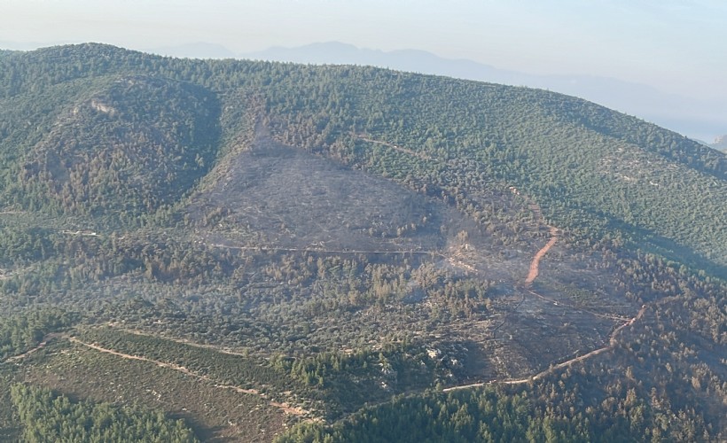 Bodrum'daki orman yangını 18 saat sonra kontrol altında