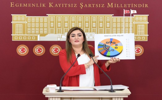 CHP'li Kılıç'tan 'aile katliamları' raporu: Çocuklar yardım isterken, annelerini korurken ölüyor