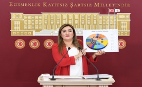 CHP'li Kılıç'tan 'aile katliamları' raporu: Çocuklar yardım isterken, annelerini korurken ölüyor