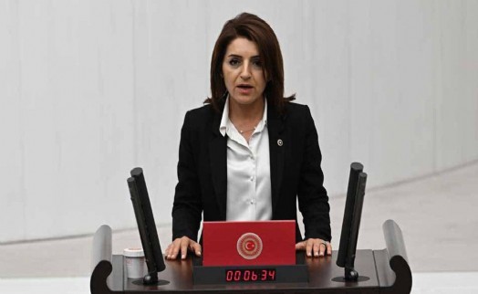 CHP'li Gülcan Kış: Katliam yasasını sessiz sedasız geçirmek istiyorlar