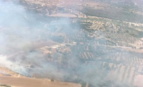 Çeşme'deki orman yangını kontrol altına alındı