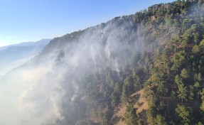 Denizli'deki orman yangını 17 saatte kontrol altına alındı