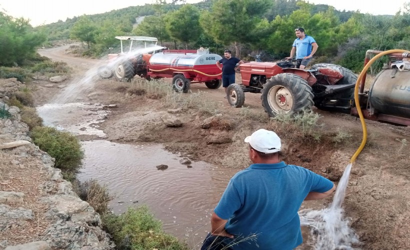 Doğadaki canlılar için kuruyan göletler suyla dolduruldu