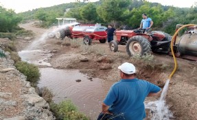 Doğadaki canlılar için kuruyan göletler suyla dolduruldu