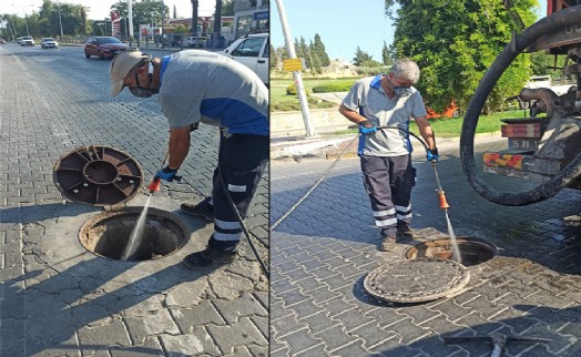 Efes Selçuk'ta haşere sorununa karşı yoğun mücadele