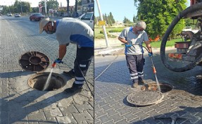 Efes Selçuk'ta haşere sorununa karşı yoğun mücadele