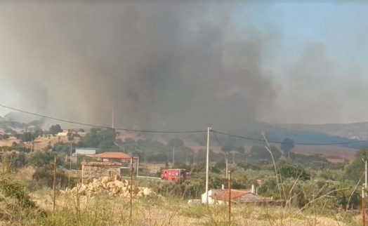 Foça'daki orman yangını kontrol altına alındı