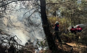 İzmir İtfaiyesi 4 ilçede yangınlara müdahale ediyor