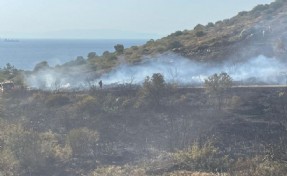 Foça’daki orman yangının sebebi belli oldu