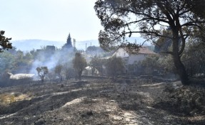 İzmir'de orman yangını, 2 mahalle boşaltıldı